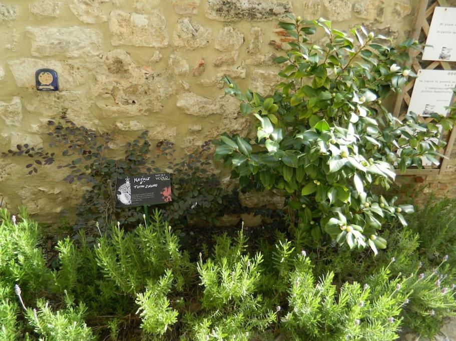 Ferienwohnung Casa Dell'Oliveto "Parcheggio Gratuito" Narni Exterior foto