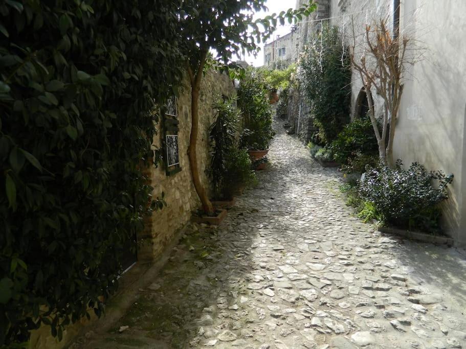 Ferienwohnung Casa Dell'Oliveto "Parcheggio Gratuito" Narni Exterior foto